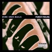 Il testo THE ONLY TIME dei NINE INCH NAILS è presente anche nell'album Purest feeling (1994)