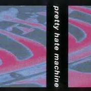 Il testo SIN dei NINE INCH NAILS è presente anche nell'album Pretty hate machine (1989)