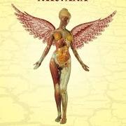 Il testo PENNYROYAL TEA dei NIRVANA è presente anche nell'album In utero (1993)