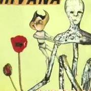 Il testo HAIRSPRAY QUEEN dei NIRVANA è presente anche nell'album Incesticide (1992)