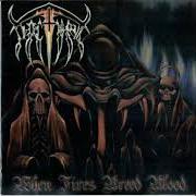 Il testo FOREVER SILENT dei NOCTUARY è presente anche nell'album When fires breed blood (2001)