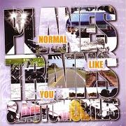 Il testo A BITTER END TO WEEKS OF... dei NORMAL LIKE YOU è presente anche nell'album Your reminder (2002)