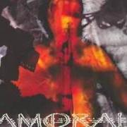 Il testo METAMORPHOSIS degli AMORAL è presente anche nell'album Wound creations (2004)