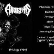 Il testo MISERY PATH degli AMORPHIS è presente anche nell'album Privilege of evil (1993)