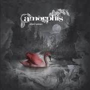 Il testo BLACK RIVER degli AMORPHIS è presente anche nell'album Silent waters (2007)