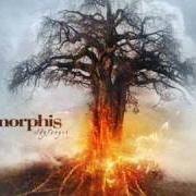 Il testo MAJESTIC BEAST degli AMORPHIS è presente anche nell'album Skyforger (2009)