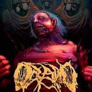 Il testo EXIST IN CONFINEMENT di OCEANO è presente anche nell'album Contagion (2010)