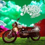 Il testo SIRENS OF YOUR TOXIC SPIRIT di OF MONTREAL è presente anche nell'album Lousy with sylvianbriar (2013)