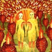 Il testo OSLO IN THE SUMMERTIME di OF MONTREAL è presente anche nell'album The sunlandic twins (2005)
