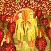 Il testo WRAITH PINNED TO THE MIST di OF MONTREAL è presente anche nell'album The sunlandic twins (2005)