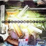 Il testo NEXT NIGGAS, PT. 2 di ONYX è presente anche nell'album Triggernometry (2003)