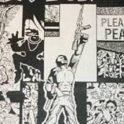 Il testo PLEA FOR PEACE degli OPERATION IVY è presente anche nell'album Plea for peace (1992)