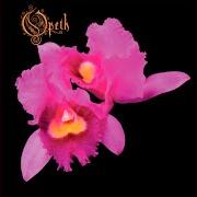 Il testo SILHOUETTE degli OPETH è presente anche nell'album Orchid (1995)