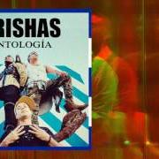 Il testo CONEXIÓN di ORISHAS è presente anche nell'album Antidiotico