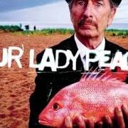 Il testo BLISTER di OUR LADY PEACE è presente anche nell'album Happiness... is not a fish that you can catch (1999)