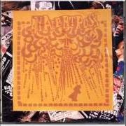 Il testo KLUVER-BUCY NOCTURNE IN BB degli AN ALBATROSS è presente anche nell'album Eat lightning, shit thunder! (2001)