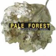 Il testo ASYLUM PYRE dei PALE FOREST è presente anche nell'album Transformation hymns (1998)