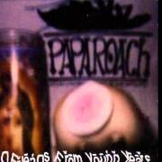 Il testo THANX dei PAPA ROACH è presente anche nell'album Old friends from young years (1997)