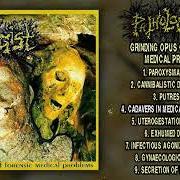 Il testo PUTRESCENCE di PATHOLOGIST è presente anche nell'album Grinding opus of forensic medical problems (1994)