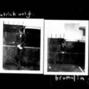 Il testo TIME OF YEAR di PATRICK WOLF è presente anche nell'album Brumalia ep (2012)