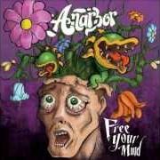 Il testo LET THE GAMES BEGIN di ANARBOR è presente anche nell'album Free your mind (2009)