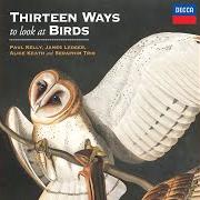 Il testo "HOPE" IS THE THING WITH FEATHERS di PAUL KELLY è presente anche nell'album Thirteen ways to look at birds (feat. alice keath & seraphim trio) (2019)