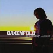 Il testo JUST THE WAY di PAUL OAKENFOLD è presente anche nell'album A lively mind (2006)
