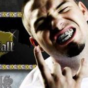 Il testo FLY di PAUL WALL è presente anche nell'album The fast life (2008)