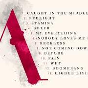 Il testo NOBODY LOVES ME BETTER di ANASTACIA è presente anche nell'album Evolution (2017)