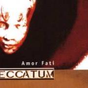 Il testo ONE PLAY NO SCRIPT dei PECCATUM è presente anche nell'album Amor fati (2000)