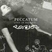 Il testo DESOLATE EVER AFTER dei PECCATUM è presente anche nell'album Lost in reverie (2004)