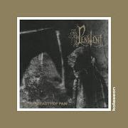 Il testo NECROPOLIS di PENITENT è presente anche nell'album The beauty of pain (1997)