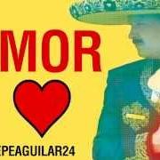 Il testo POR TU MALDITO AMOR di PEPE AGUILAR è presente anche nell'album Lástima que sean ajenas (2013)