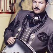 Il testo TU SOLO TÚ di PEPE AGUILAR è presente anche nell'album Lo grande de los grandes (2000)