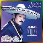 Il testo TE DEJO UN PANUELO di PEPE AGUILAR è presente anche nell'album Lo mejor de nosotros (2001)