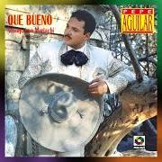 Il testo DONDE QUIERA QUE TU VAYAS di PEPE AGUILAR è presente anche nell'album Que bueno (1994)
