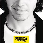 Los amigos de los animales