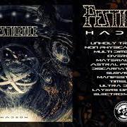 Il testo DOCTRINE dei PESTILENCE è presente anche nell'album Doctrine (2011)