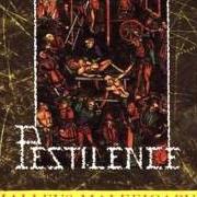 Il testo CYCLE OF EXISTENCE dei PESTILENCE è presente anche nell'album Malleus maleficarum (1988)
