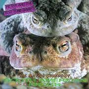 Il testo NO INVITATION dei PETER & THE TEST TUBE BABIES è presente anche nell'album The mating sounds of south american frogs (1983)