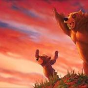 Il testo AWAKES AS A BEAR di PHIL COLLINS è presente anche nell'album Brother bear soundtrack (2003)