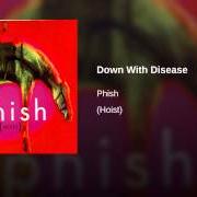 Il testo DOWN WITH DISEASE dei PHISH è presente anche nell'album Hoist (1994)