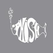 Il testo YOU ENJOY MYSELF dei PHISH è presente anche nell'album Phish (white tape) (1998)