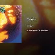 Il testo MAGILLA dei PHISH è presente anche nell'album Picture of nectar (1992)