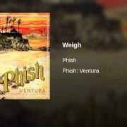 Il testo MY SWEET ONE dei PHISH è presente anche nell'album Ventura (2013)