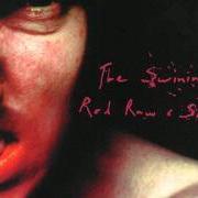 Il testo THE SEVEN VEILS di PIG è presente anche nell'album The swining / red raw & sore (1999)