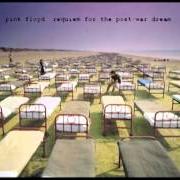 Il testo ONE SLIP dei PINK FLOYD è presente anche nell'album A momentary lapse of reason (1987)