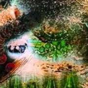 Il testo REMEMBER A DAY dei PINK FLOYD è presente anche nell'album A saucerful of secrets (1968)