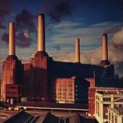 Il testo PIGS ON THE WING (PART 2) dei PINK FLOYD è presente anche nell'album Animals (1977)