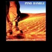 Il testo ANIMA di PINO DANIELE è presente anche nell'album Non calpestare i fiori nel deserto (1995)